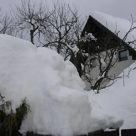 Apartamento Nasa Hisa Bohinj
