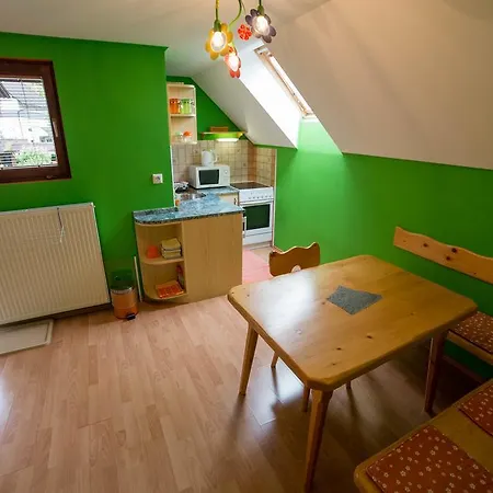 Lägenhet Nasa Hisa *