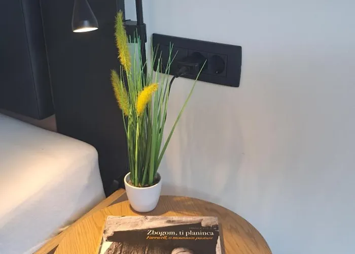 Apartment Nasa Hisa Bohinj