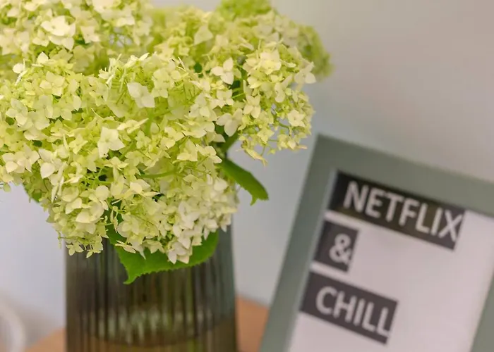 Nasa Hisa 아파트 보히니