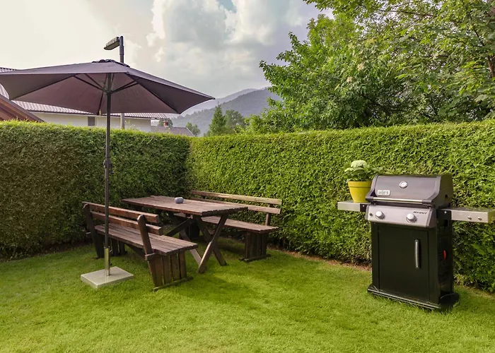 Nasa Hisa * 보히니